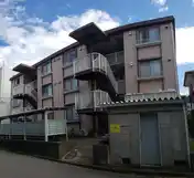 サンホワイト