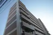 マイシティ・ビッグバード