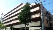 コスモ鷺沼エクセラ