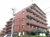 ミ・パラシオ