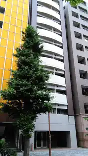 ヴィオラ