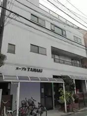 メープルタマキ