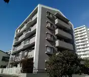 コート・花みずき