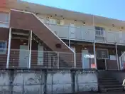 オリーブII