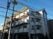 パレスフリージア