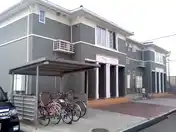 プリムローズD