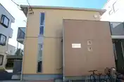 コートプルメリア