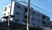 プラシード