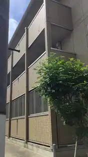 アムール3
