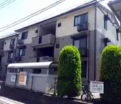 サンフラワーC