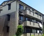 サンフラワーB