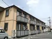 グレイスピュア