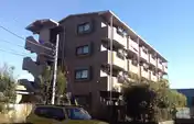 URBAN COURT