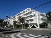 ノトスアゼリア天王台