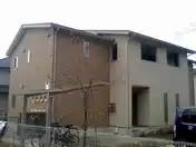 ベルリードバンブー