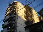 Raffistarヨコハマヨシノチョウ