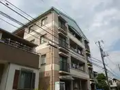グリーンラピスオグラ