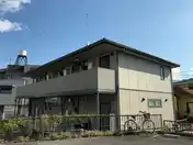 エバーグリーン