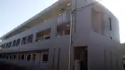 ファインウッド