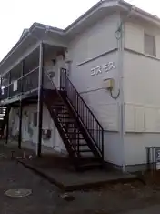コスモス