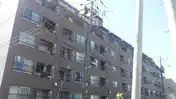 登戸清川シュロス