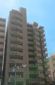 ゼファー大山ファムエール