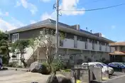 サングリーンゆりの木