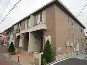 カメリア エス