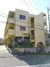 ヤマカビル
