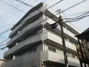 ヨコハマフィズ