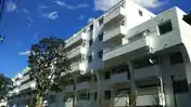 成城アンバサダー