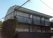ピュア若葉