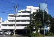 ステップス