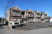 ニートネス花通