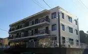 プリビィタチバナ