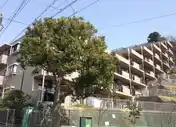 藤和ライブタウン綱島の丘Bウイング