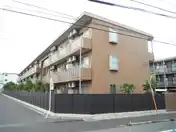 モアルヤタ藤