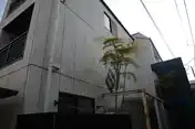 マール