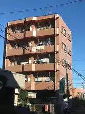 デューク花水木
