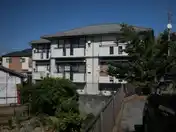 コットンハイツ