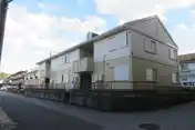 フローラC