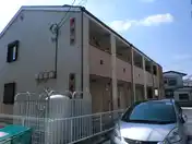 フラップ ハトリ