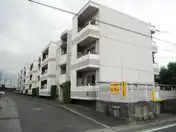 オリーブガーデン