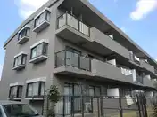 ヘーゼル藤沢