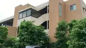 サクラコート