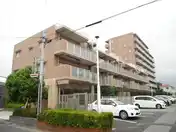 クリオ柏