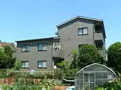 フォルティーヌ