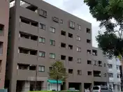 サニースポット