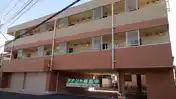 ドーム・コスモス