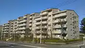 ビアス市が尾